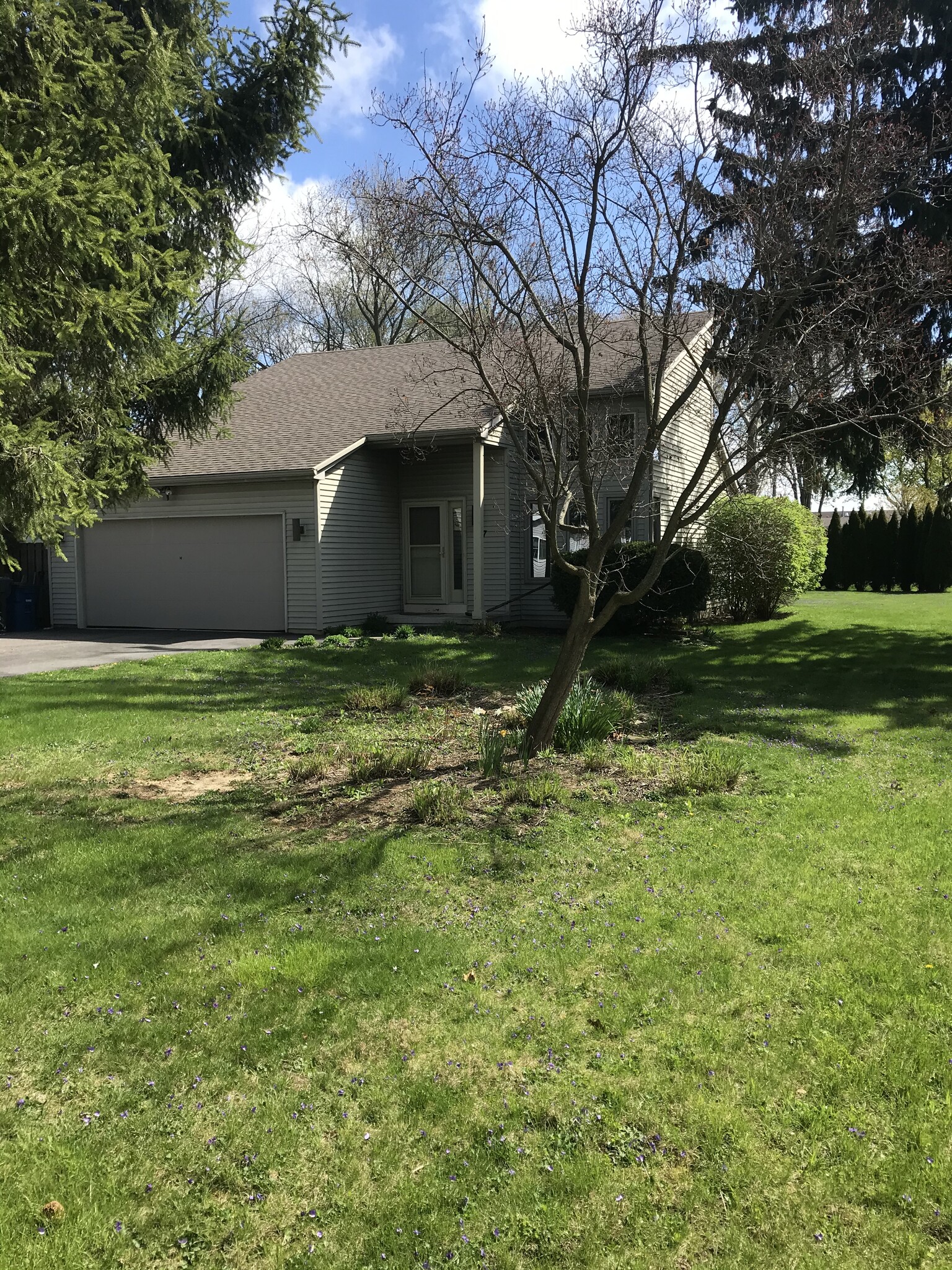 Front of house & yard - 137 Baldwin Ave