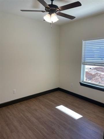 Building Photo - 7307 Southern Belle Cir