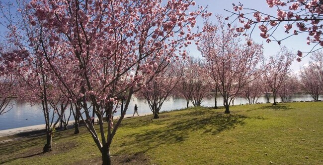 Building Photo - 3 Bed 2 Bath Apartment