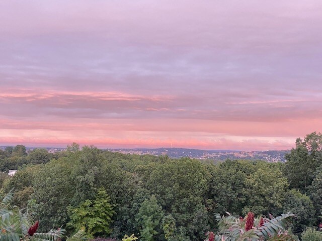 Building Photo - 37B Timrod Dr