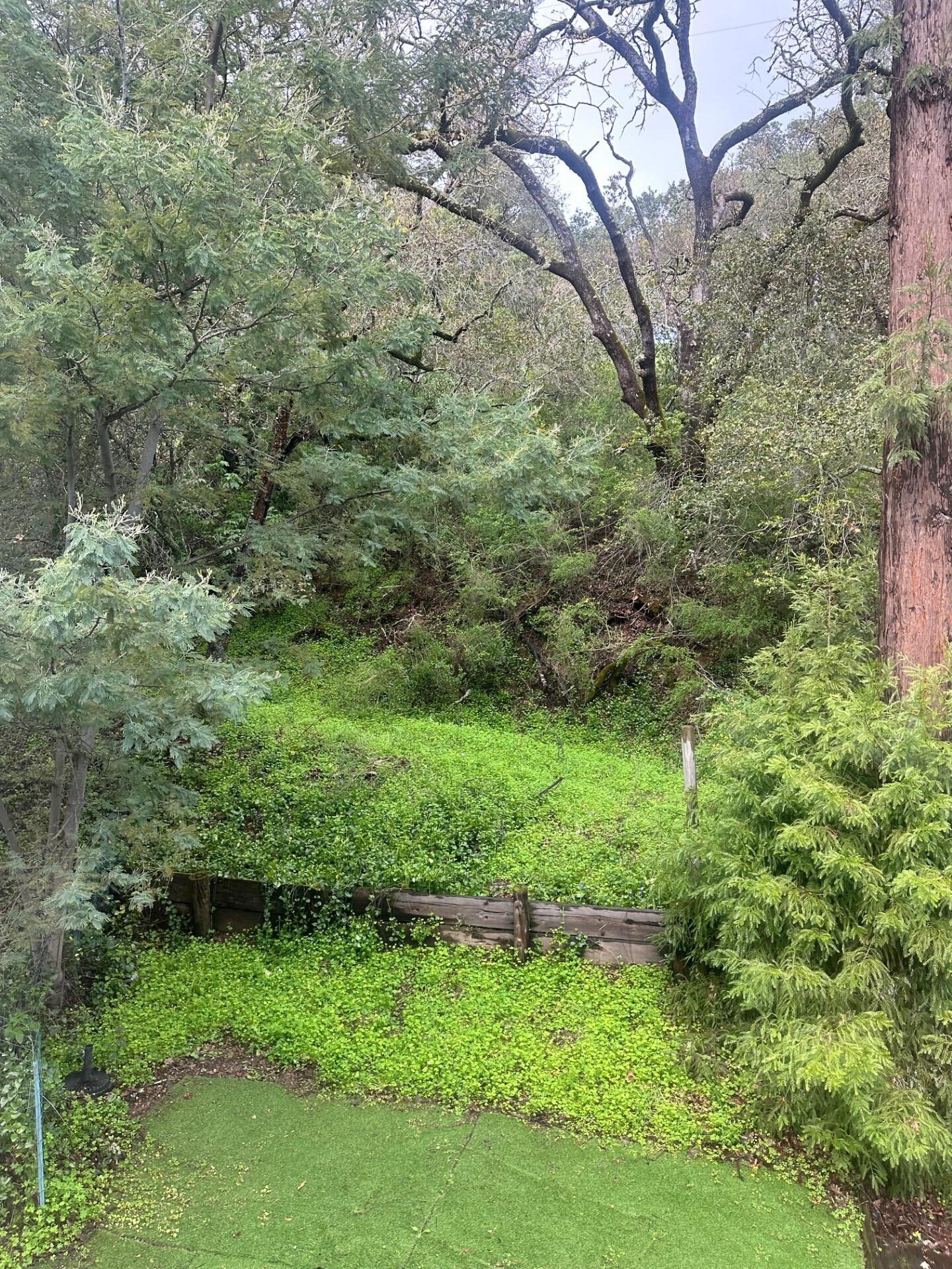 Building Photo - 16220 Greenwood Ln