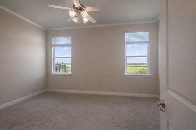 Building Photo - 8121 Mary Curran Ct