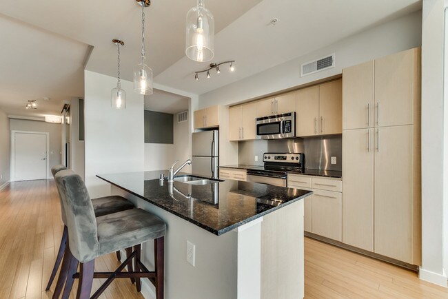 Building Photo - Stunning 2/2 Condo in Oak Lawn!