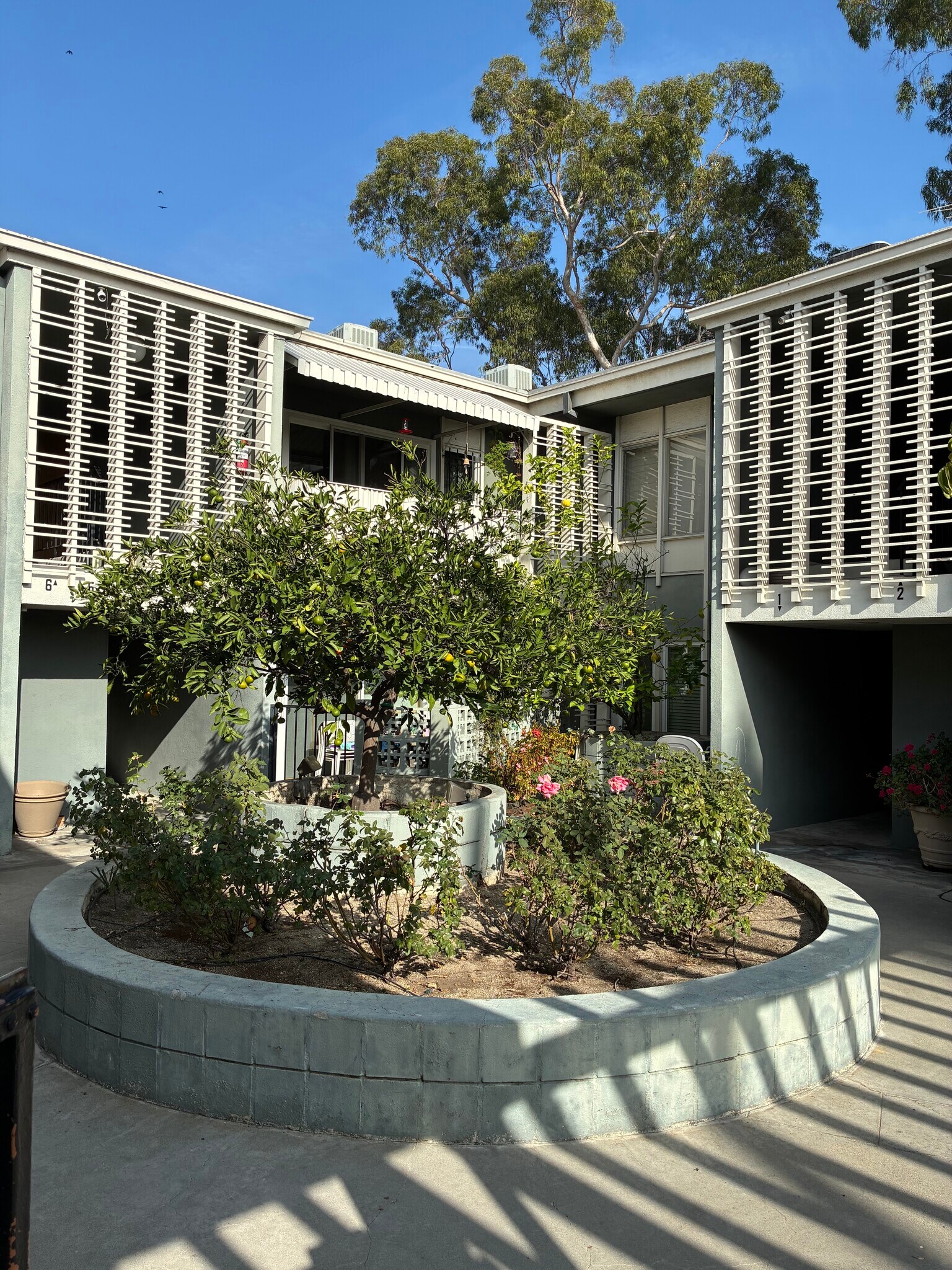 Enterior Open Space - 1520 Spruce St