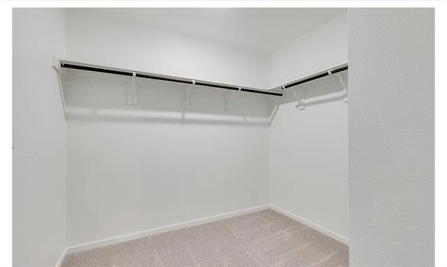 Building Photo - 613 Holleman Dr