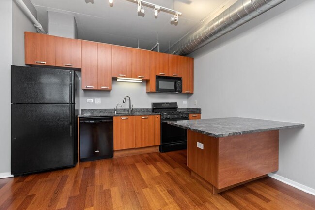 Building Photo - 2 bedroom in Chicago IL 60616