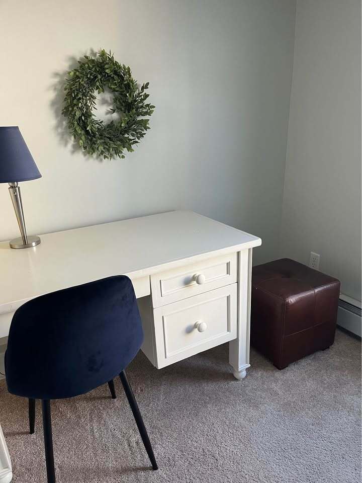 Small Office with furniture - 44 N Spring St