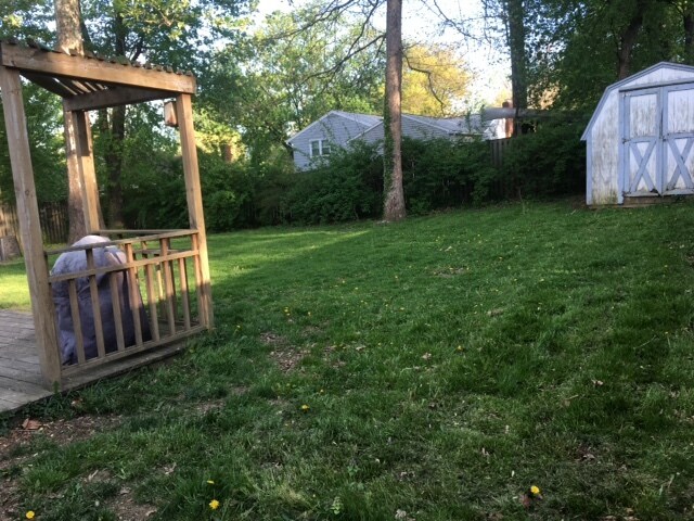 Backyard - 7417 Dunston St