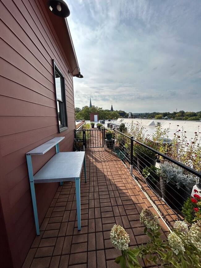 Building Photo - Beautifully Furnished 1/1 Apartment in Downtown Broad St.- $2,350