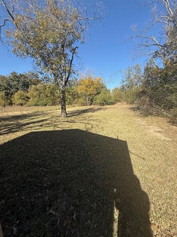 Building Photo - 1711 Groesbeck St