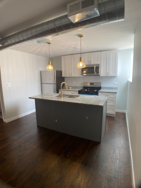 2945 W Peterson Ave 2945 W Peterson Ave Chicago IL 60659 Apartment