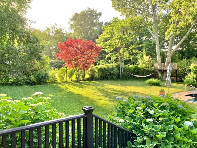 Building Photo - 81 Hampton St