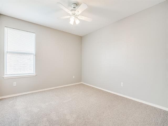 Building Photo - 311 Mistflower Ln