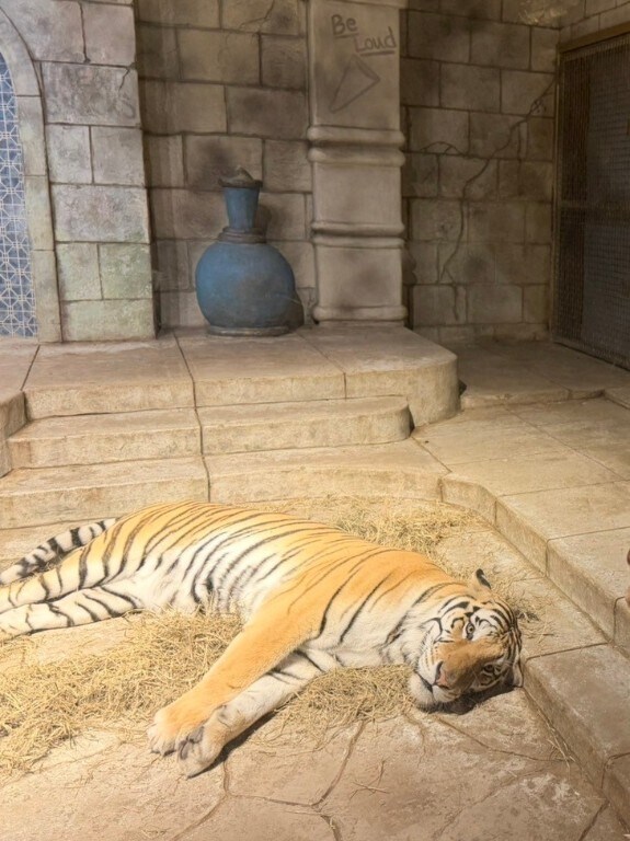 Building Photo - 486 Southern Magnolia Wy