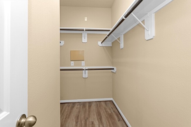 Building Photo - 24734 Colonial Maple Dr