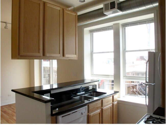Kitchen - Apt 3M, 2M, 1M - Harris Point Chicago