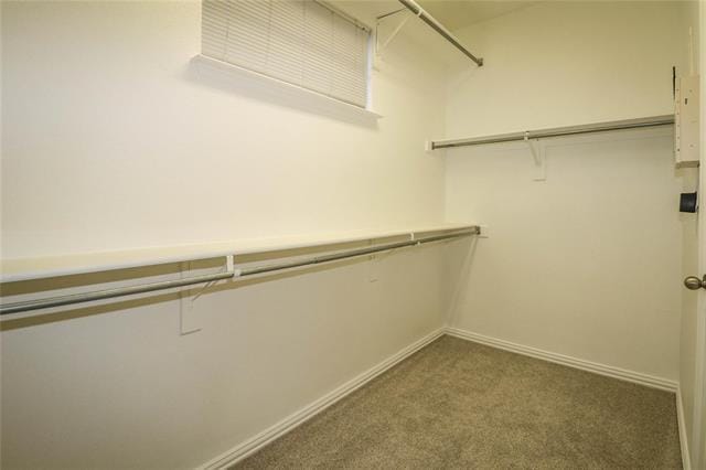 Building Photo - 504 Renfro Ct