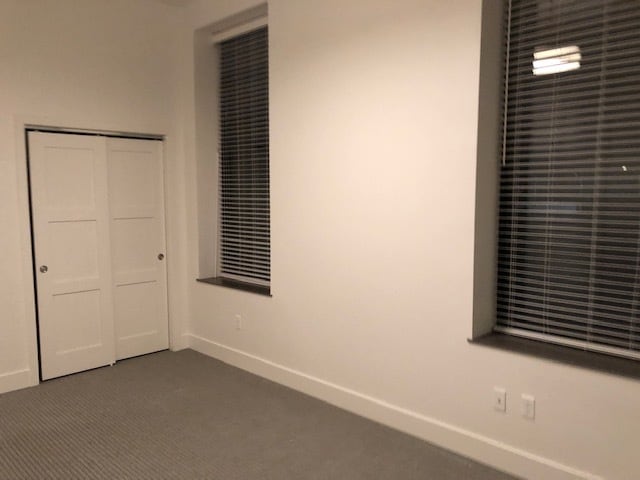 Tall windows in Master - 124 N 29th St