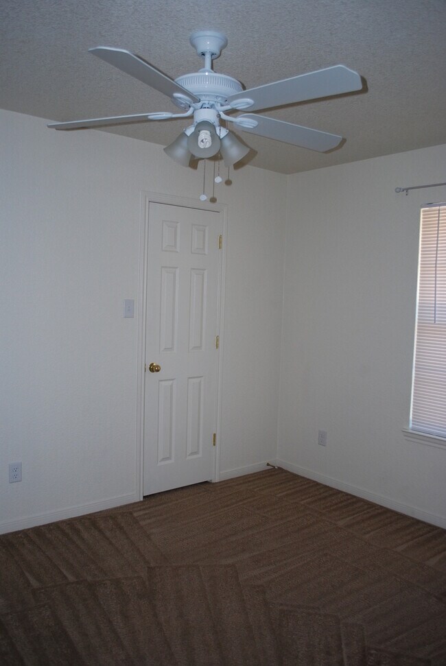 Building Photo - 913Daisy