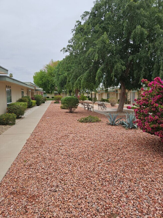 Building Photo - Charming Sun City Sanctuary