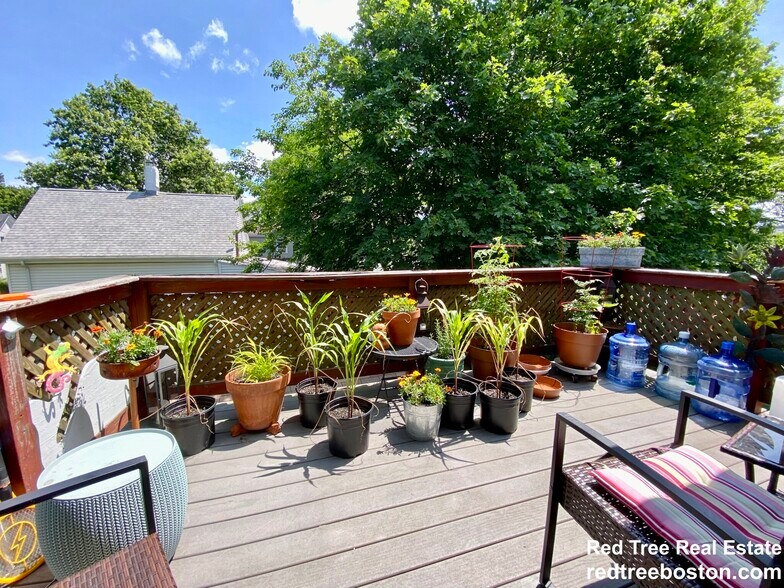 Building Photo - 56 Jackson St