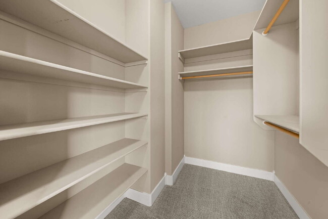 Building Photo - 913 Plum Ridge Dr