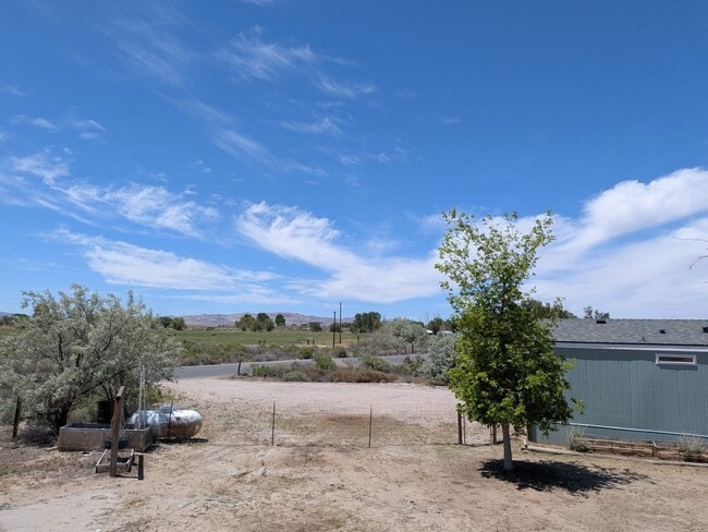 Building Photo - Fallon 3 Bedroom on Large Property
