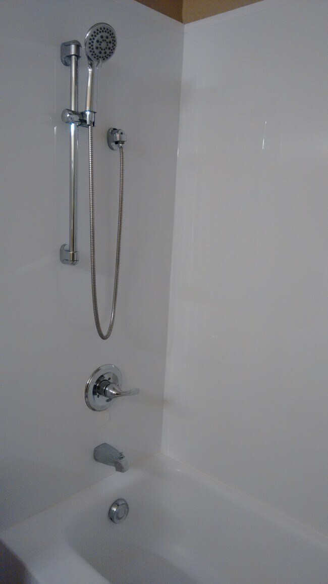 BathTub - 600 Audubon Lake Dr