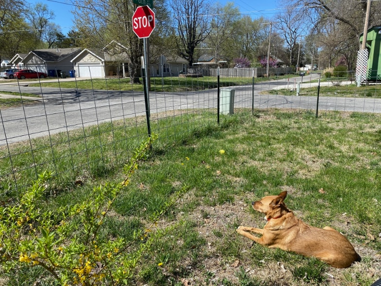 Building Photo - 246 N 8th St