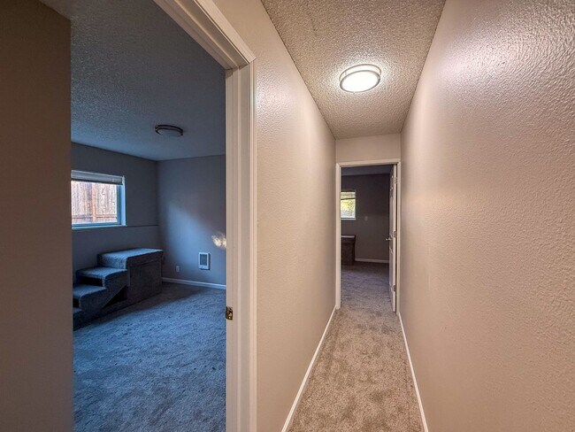 Building Photo - WILARK2535-2537