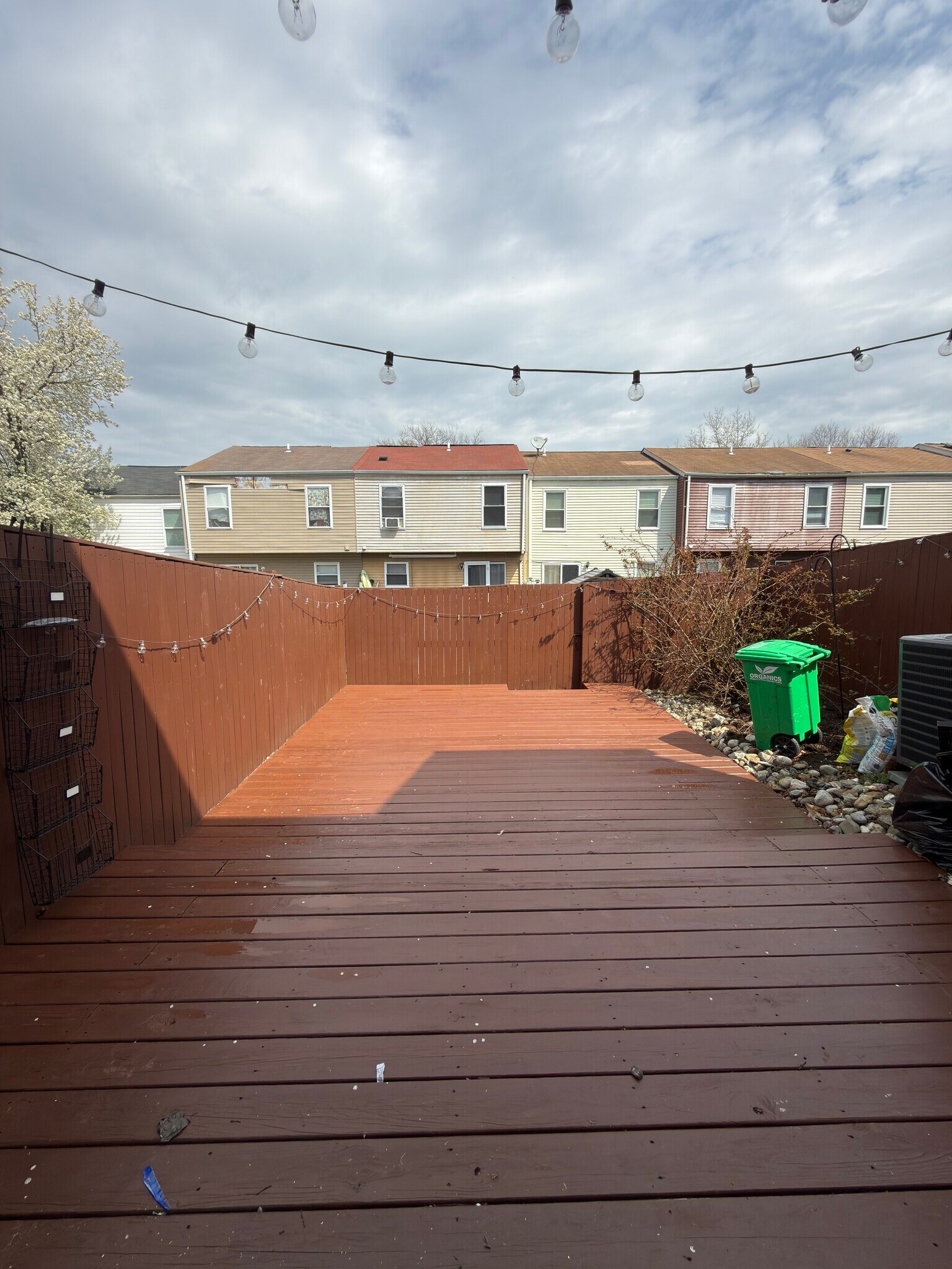 Building Photo - 1706 Tulip Ave