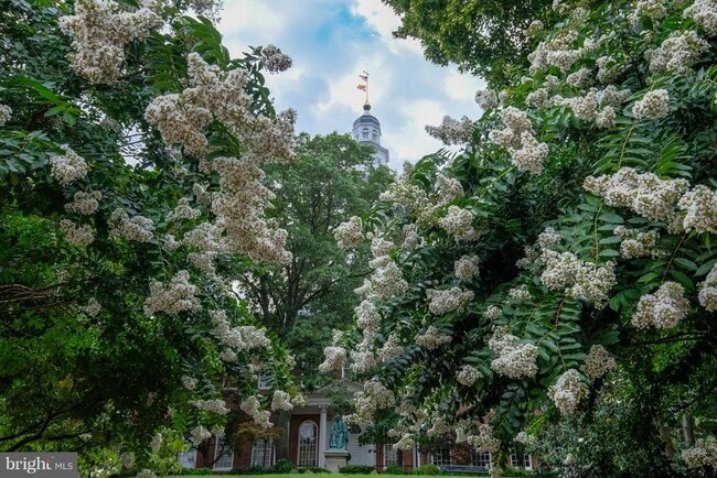 Building Photo - 149 Main St