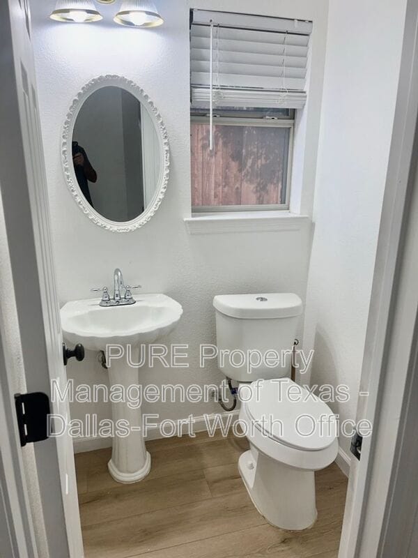 Building Photo - 3507 Blue Forest Dr