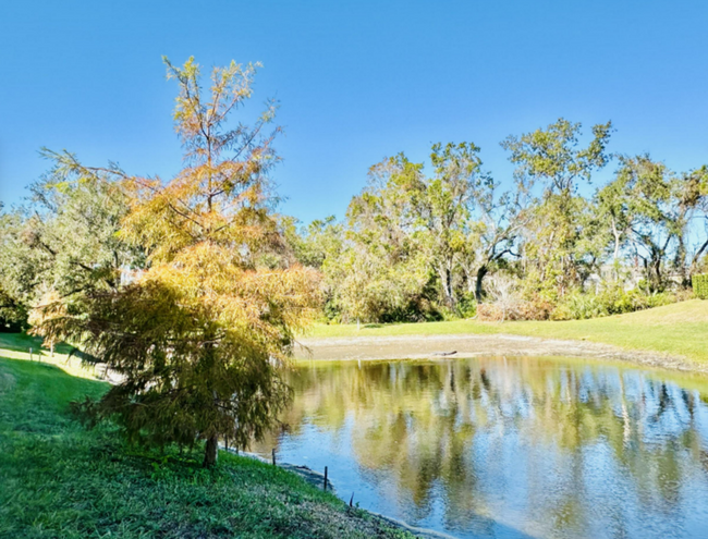 Building Photo - 3093 Inlet Breeze Way