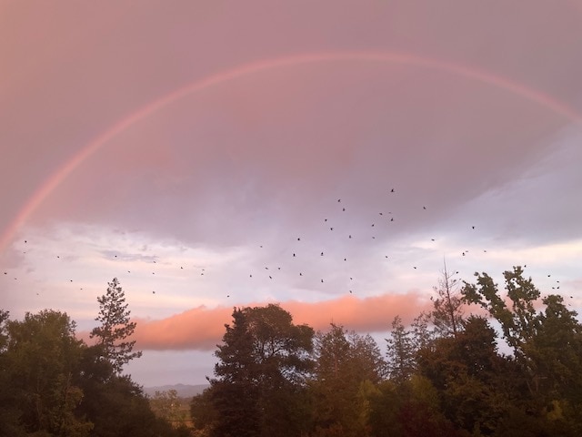 Lucky Sunset - 1485 Timberhill Rd