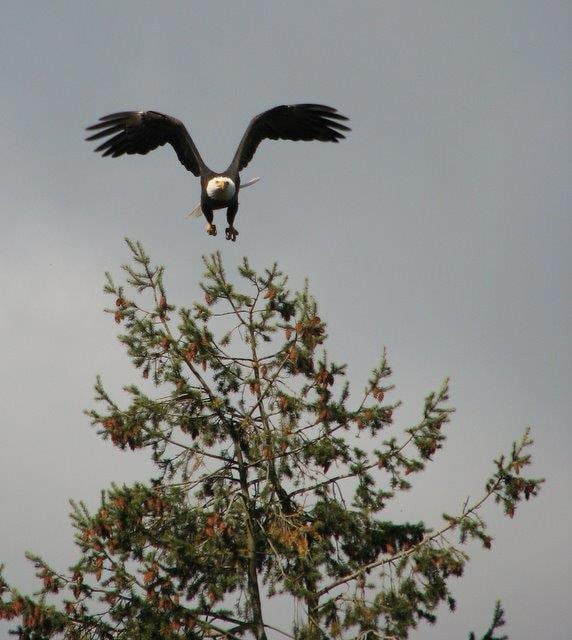 Building Photo - 11198 N 1st St