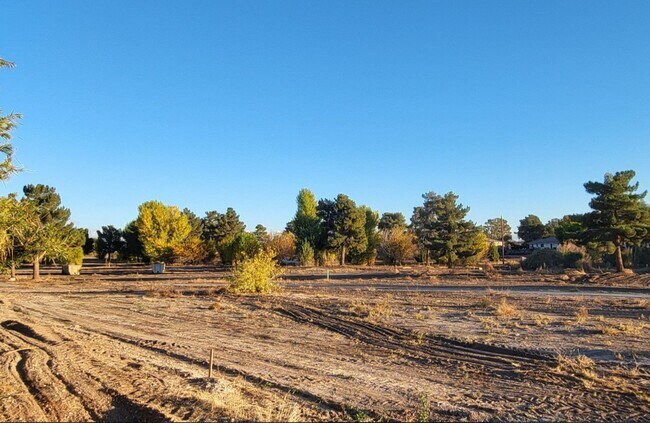 Building Photo - 1101 Bourbon St