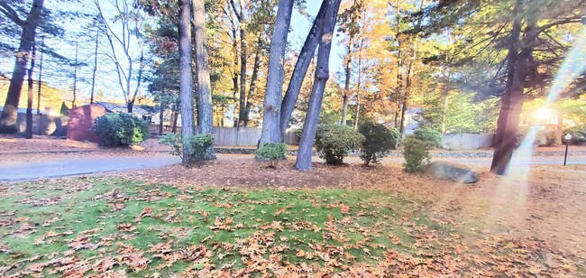 Building Photo - 1 bedroom Oak Terrace-Framingham