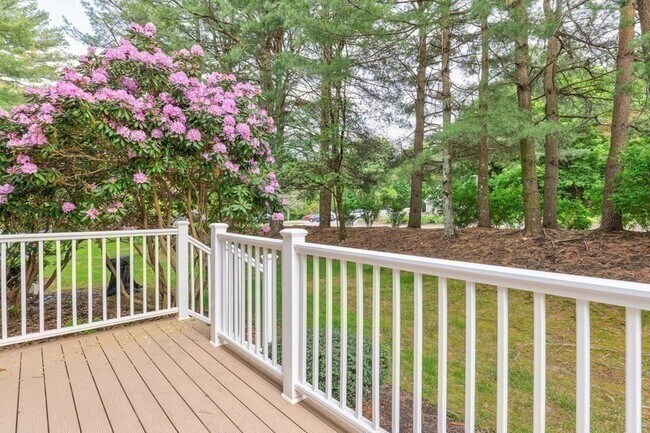 Building Photo - 78 Pointe Rok Dr