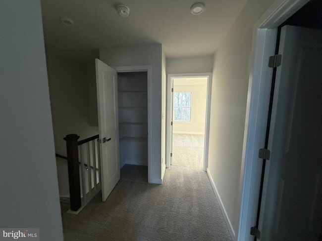 Building Photo - 4337 Reusch Cir