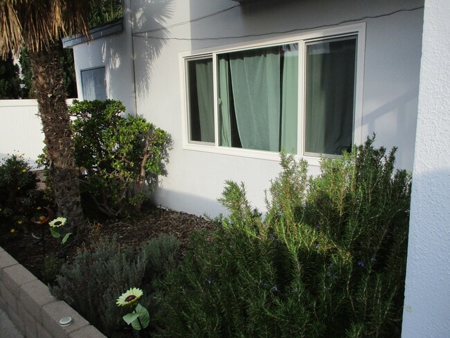 Building Photo - 1251 Prospect Ave