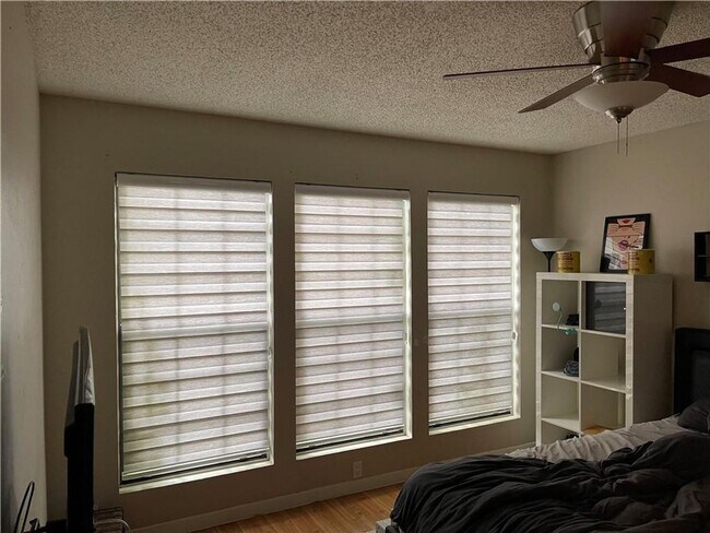 Building Photo - Duplex Blocks from Downtown and Town Lake