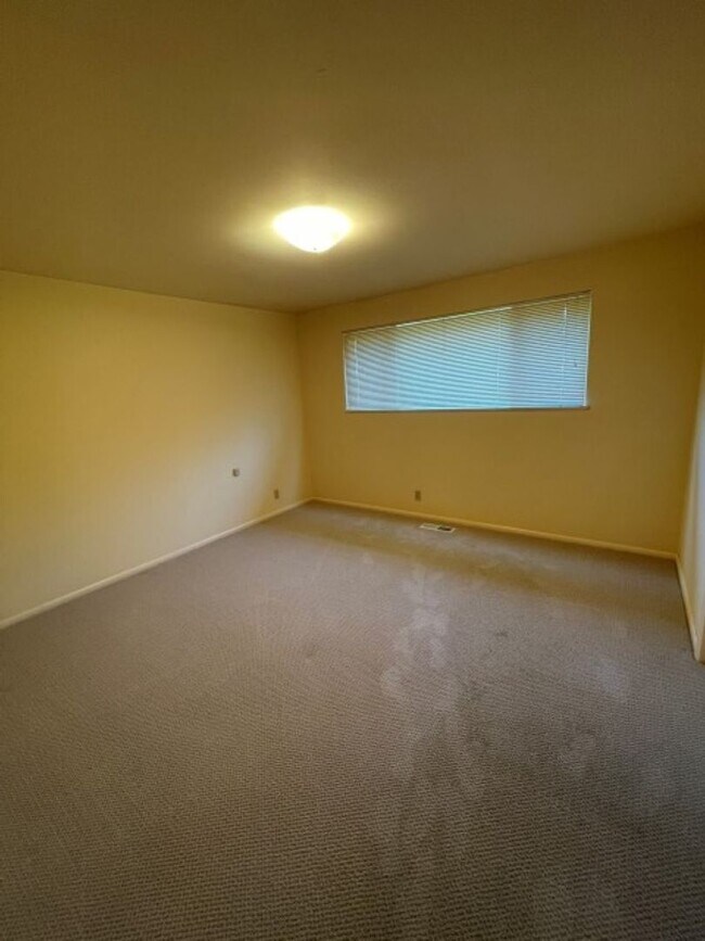 Building Photo - 3Bd/1.75Ba Shoreline House