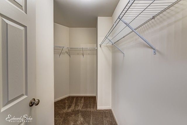 Master Closet - 649 Arbor Cir