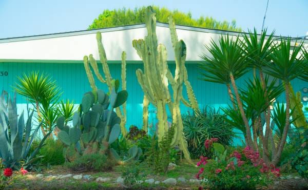 Building Photo - 660 W Bonita Ave