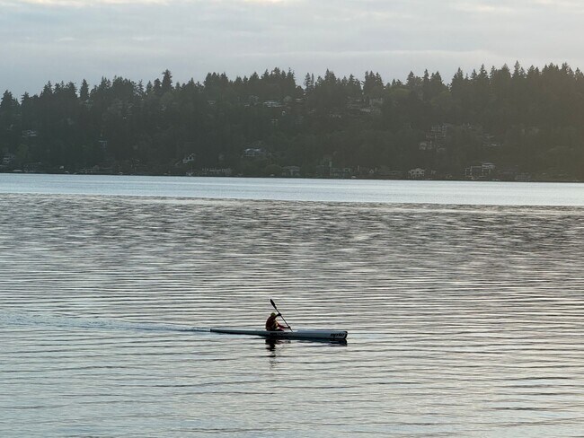 Building Photo - Lake Front House Seward Park