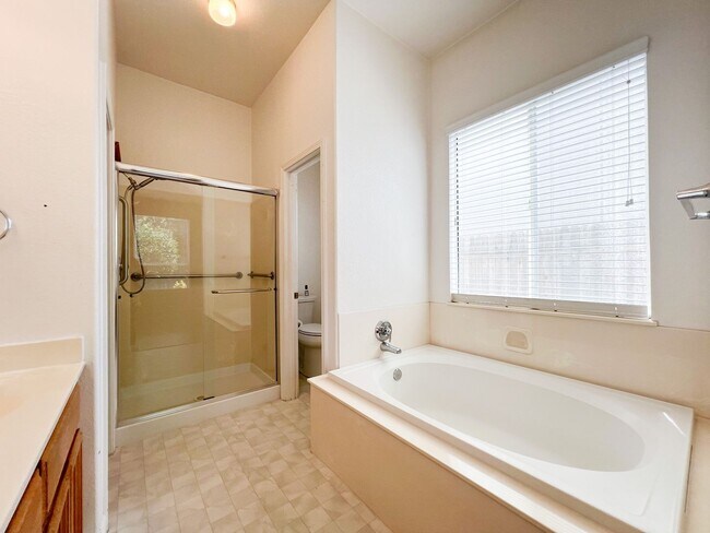 Building Photo - Spacious Single Story 3 Bd, 2 Ba Home in S...