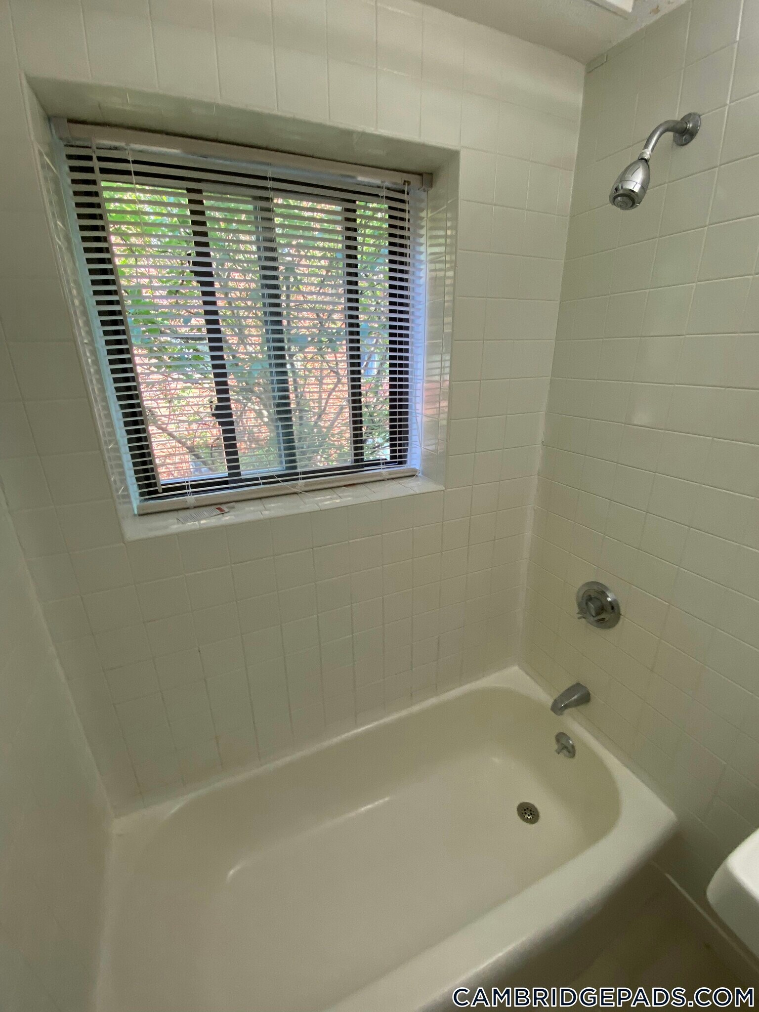 Building Photo - 9 Chester St