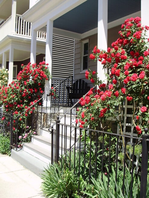 Building Photo - 38 Saint Margaret St