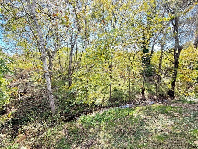 Building Photo - Immaculate Arden Three Bedroom Ranch With ...
